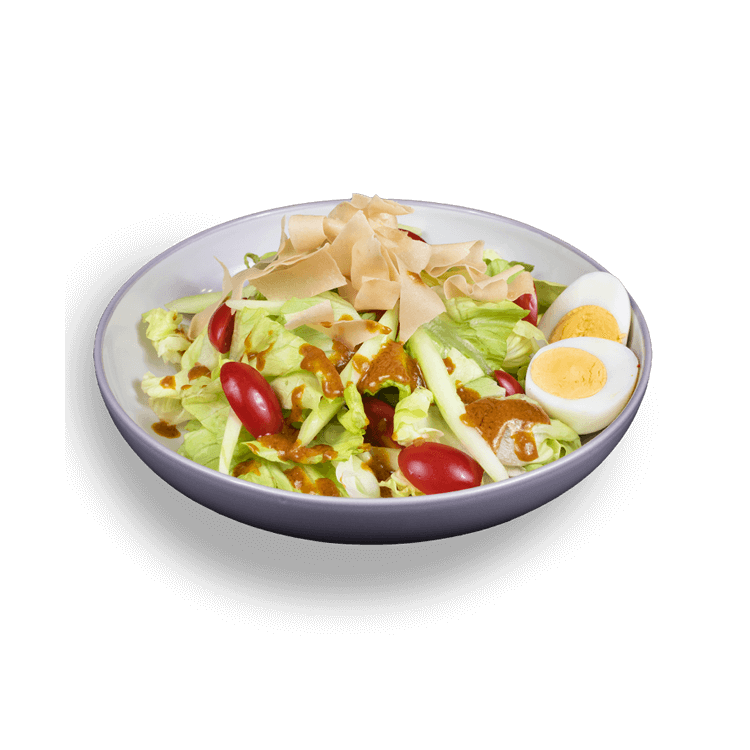 Εικόνα για 18. WONTON SALAD